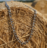 11mm Figaro Link Chain Stainless Steel CH16