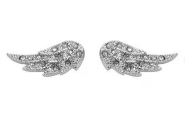 Heavy Metal Jewelry Ladies Angel Wing Bling Earrings Stainless Steel SE16